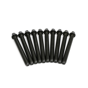 BMW Cylinder Head Bolt Set - Corteco 11121721939