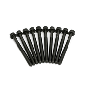 VW Cylinder Head Bolt Kit - Genuine VW KIT-WHT005305KT1