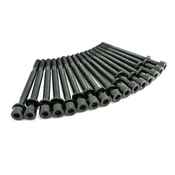 Audi Cylinder Head Bolt Set - Corteco 078103385J