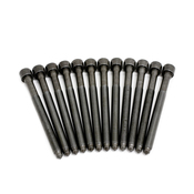 VW Cylinder Head Bolt Kit - Genuine VW KIT-06D103385DKT2