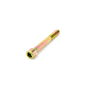 BMW Fillister Head Screw (M12X100) - Genuine BMW 07119920070