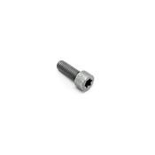 BMW Isa Screw (M8X22Znniv Si) - Genuine BMW 07129905769