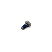 BMW Hex Bolt With Washer (M6X14-U1) - Genuine BMW 07119905693