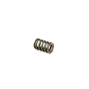 BMW Exhaust Spring - Genuine BMW 18307503582