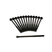 BMW Cylinder Head Bolt Set - Genuine BMW 11127798532