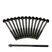 BMW Cylinder Head Bolt Set - Genuine BMW 11127798532