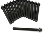 BMW Cylinder Head Bolt Set - Elring 11121721938