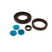 BMW S5D320Z Gasket Set - Genuine BMW 23111224925