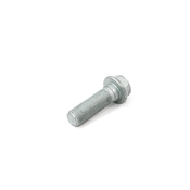 VW Suspension Trailing Arm Bolt - Genuine VW WHT005749