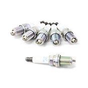 Audi Spark Plug Kit - NGK 101905611GKT