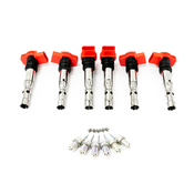 Audi Ignition Tune-Up Kit - Bremi  06C905115MKT9
