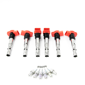Audi Ignition Tune-Up Kit - Bremi  06C905115MKT9