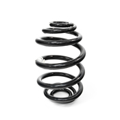 BMW Coil Spring Rear (Z4) - Genuine BMW 33536760605