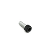 BMW Fillister Head Screw - Genuine BMW 17111719057