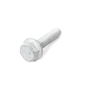 Hex Bolt - OE Supplier N10699901