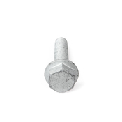 Hex Bolt - OE Supplier N10699901