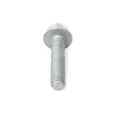 Hex Bolt - OE Supplier N10699901