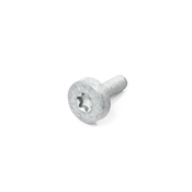 Porsche Drive Belt Tensioner Bolt - Genuine Porsche PAF008361