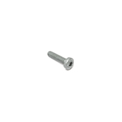 Porsche Torx Bolt - Genuine Porsche 9A110731301