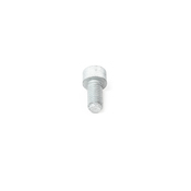 BMW Pressure Plate Bolt - Genuine BMW 07129903984
