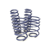 BMW Race Lowering Spring Set - H&R 50490-88