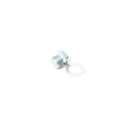 BMW Screw Plug With Gasket Ring (M10X1) - Genuine BMW 24111421387