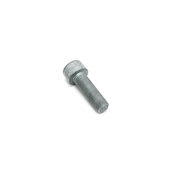 Audi VW Engine Harmonic Balancer Bolt - Genuine VW Audi N91150001