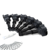 Porsche Ignition Coil Kit - Bremi 996TIGNKT