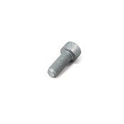 BMW Isa Screw (M8X20 Zns3) - Genuine BMW 07129904065