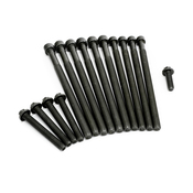 BMW Cylinder Head Bolt Set - Genuine BMW 11122212157