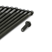 BMW Cylinder Head Bolt Set - Genuine BMW 11122212157