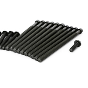 BMW Cylinder Head Bolt Set - Genuine BMW 11122212157