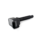 Audi Porsche VW Direct Ignition Coil - Delphi GN10632