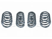 VW Lowering Spring Kit - Racingline VWR31G7GT