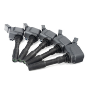 Audi Ignition Coil Kit - Beru 06H905110GKT2