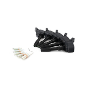 Audi Ignition Tune-Up Kit - Beru 06H905110GKT4
