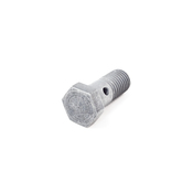 BMW Hollow Bolt - Genuine BMW 07119905176
