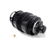 Mercedes Airmatic Spring - Arnott Industries A2724