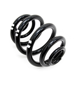 BMW Coil Spring - Lesjofors 4208468
