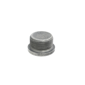 BMW Screw Plug (M30X15) - Genuine BMW 24117571201
