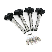 Audi Ignition Tune-Up Kit - Eldor 07K905715FKT11