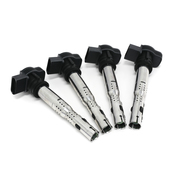 Audi Ignition Coil Kit - Eldor 07K905715FKT4