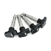Audi Ignition Coil Kit - Eldor 07K905715FKT4