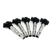 Audi Ignition Coil Kit - Eldor 07K905715GKT7