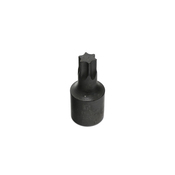 T60 Torx Socket - Lisle 26520