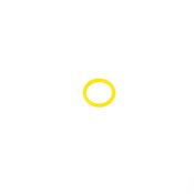 Audi VW Coolant Pipe O-RIng - Genuine Audi VW WHT001011A