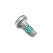 Audi VW Porsche Torx Bolt - Genuine VW Audi Porsche N10029205