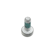 Audi VW Porsche Torx Bolt - Genuine VW Audi Porsche N10029205