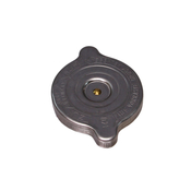 Mercedes Expansion Tank Cap - Rein 1245000406