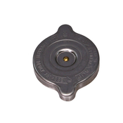 Mercedes Expansion Tank Cap - Rein 1245000406